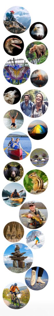 Collage of outdoor activities including canoeing, wildlife, and nature.